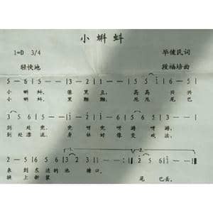 小蝌蚪_歌曲简谱_词曲:毕健民 段福培
