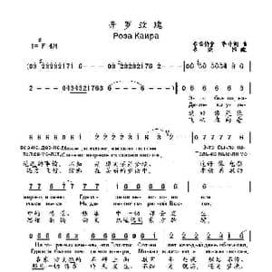 开罗玫瑰роза каира_歌曲简谱_词曲:布雷特堡 萨申 词曲