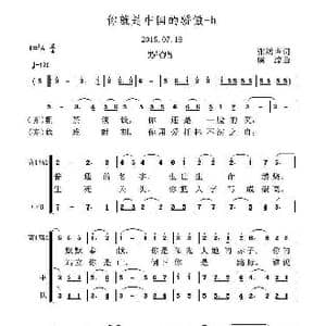 你就是中国的骄傲_歌曲简谱_词曲:张鸿声 虞淙
