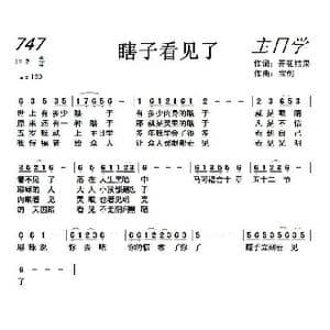 747 瞎子看见了_歌曲简谱_词曲:开花结果 宝剑