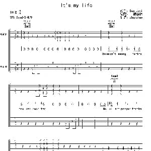 It's my life 吉他谱 Bon Jovi 银旗林
