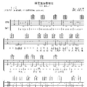 林黛玉没有眼泪 吉他谱 蒋雪儿 田跃君词曲 梦断弦音