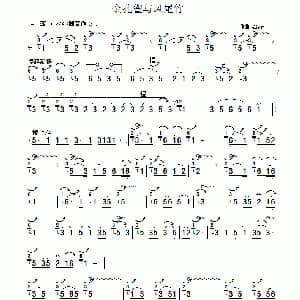 葫芦丝谱 | 金孔雀与凤尾竹 赵家寅