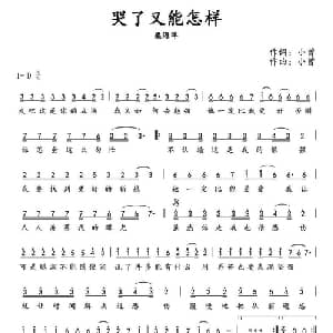 哭了又能怎样_通俗唱法乐谱_词曲:小曾 小曾