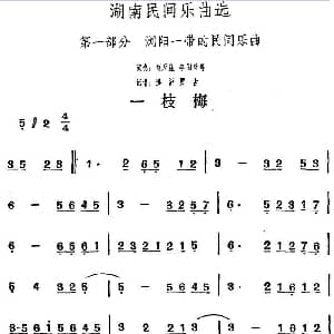 一枝梅 湖南民间乐曲选 洪滔 贾古记谱