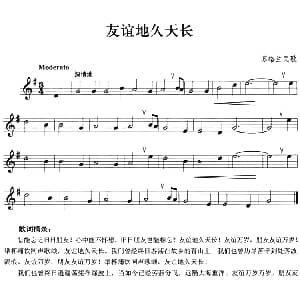 友谊天长地久 小号