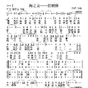 海之女 红树林_歌曲简谱_词曲:张璟 张璟