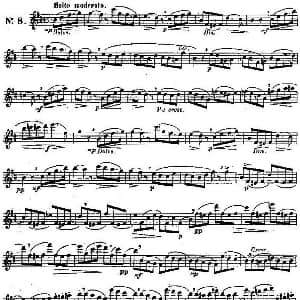 长笛曲谱 | 二十首练习曲作品131号 NO.8 Garibold 加里波第