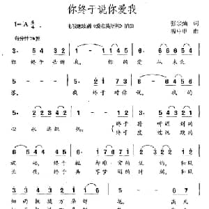 你终于说你爱我_通俗唱法乐谱_词曲:张宗灿 温中甲