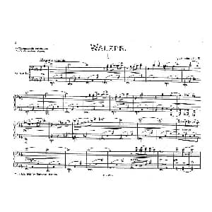 5 Waltzes Op.51 4 Hands 钢琴谱 伊格纳茨 弗莱德曼