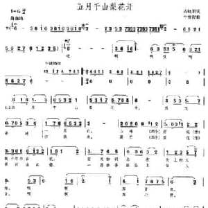 五月千山梨花开_民歌简谱_词曲:齐晓阳 平安俊