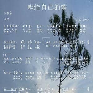 唱给自己的歌_歌曲简谱_词曲:胡正伟 胡正伟