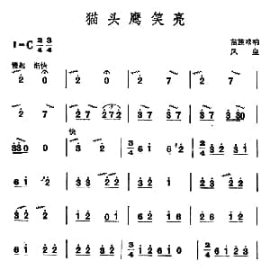 猫头鹰笑亮 苗族唢呐