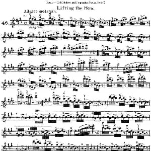 小提琴谱 | 马扎斯小提琴练习曲 Op.36 第二册 华丽练习曲 46