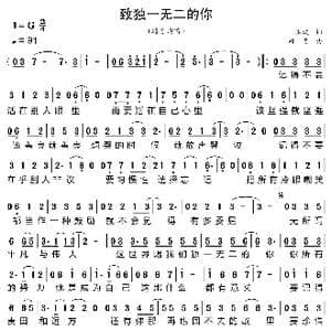 致独一无二的你_歌曲简谱_词曲:王洪波 路勇