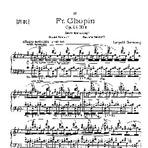 53首以肖邦练习曲为素材而作的练习曲 钢琴谱 里奥鲍尔德 戈多夫斯基