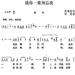 送你一束勿忘我_民歌简谱_词曲:金鸿为 田光