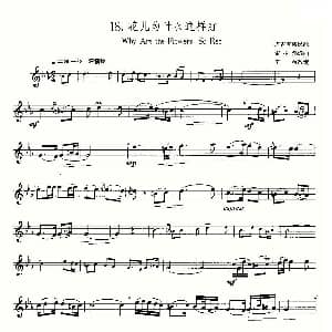 萨克斯谱 | 22首中国民歌乐谱之18 花儿为什么这样红