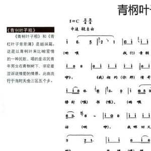 青棡叶子粗_民歌简谱