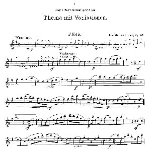 长笛曲谱 | Solovortrag fur junge Flotenspieler.Op.47