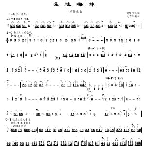 二胡谱 | 嘎达梅林 刘双军编曲