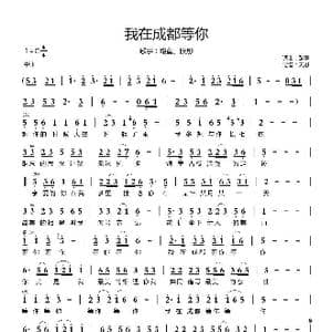 我在成都等你_歌曲简谱_词曲:路童 路童