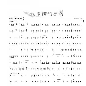 葫芦丝曲精选 多情的巴乌 张汉举曲 王甲坤 王甲华编著