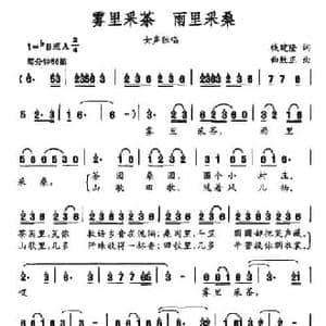 雾里采茶 雨里采桑_民歌简谱_词曲:钱建隆 曲致正