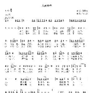 人到中年_歌曲简谱_词曲:徐继东 高立志