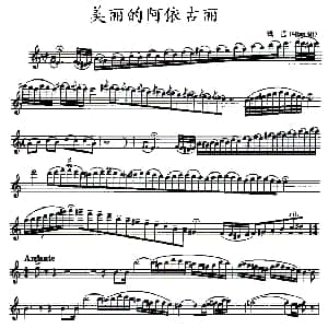 长笛曲谱 | 美丽的阿依古丽