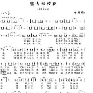 魅力攀枝花_民歌简谱_词曲:寇勇 寇勇
