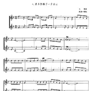 我多想摘下一片白云 小号二重奏 张新林