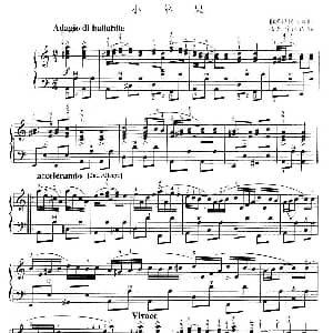 手风琴谱 | 小苹果 带指法 俄罗斯民歌 布列乔沃改编版 俄罗斯民歌 布列乔沃改编