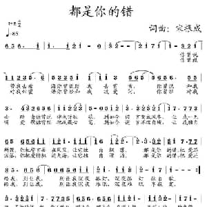 都是你的错_通俗唱法乐谱_词曲:宋根成 宋根成