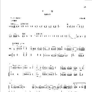 乡情 高胡独奏 卜灿荣