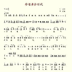 珍惜黄金时代_歌谱投稿_词曲:付林 吕远