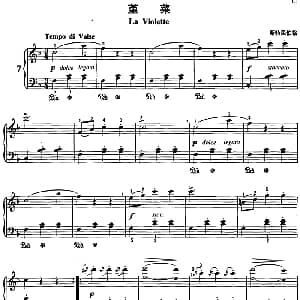 不可不弹的世界钢琴名曲 堇菜 钢琴谱 斯特里伯格