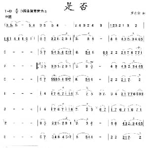 笛子谱 | 是否 罗大佑