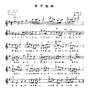 电子琴谱 | 军中姐妹 带歌词提示版 王晓岭 臧云飞