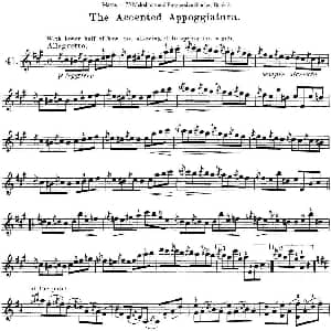 小提琴谱 | 马扎斯小提琴练习曲 Op.36 第二册 华丽练习曲 41