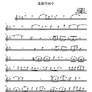 走在冷风中_歌曲简谱_词曲: 安立奎