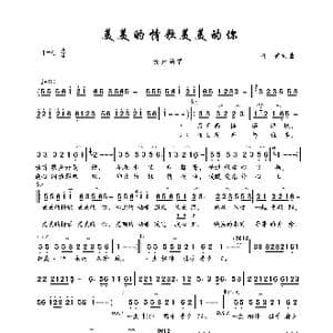 美美的情歌美美的你_歌曲简谱_词曲:阿美 阿美