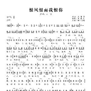 恨风恨雨我恨你_歌曲简谱_词曲:杰哥哥 杰哥哥