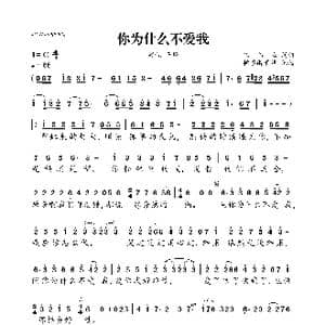 你为什么不爱我_歌曲简谱_词曲:崔伟立 崔伟立