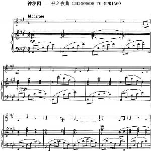 小提琴谱 | 神秘园 春之夜曲 SERENADE TO SPRING 小提琴 钢琴伴奏