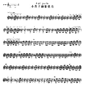 小伙子的紫色马 冬不拉