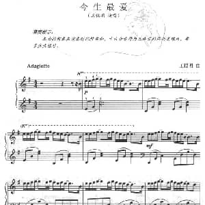 今生最爱 钢琴谱 王程明