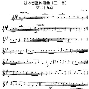 基本音型练习曲第二十九首 孙大方