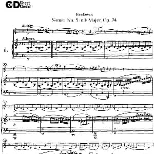 小提琴谱 | Violin Sonata No.5 in F Major Op.24 小提琴 钢琴伴奏