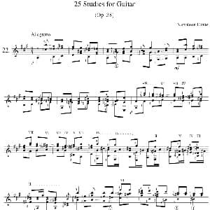 Napoleon Coste 25 Studies,Op.38 吉他谱